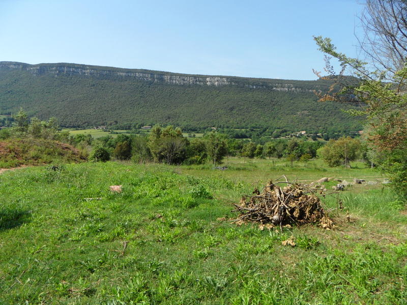 Farmhouse for sale to be restored of 340 m2 with 28 hectares of land in