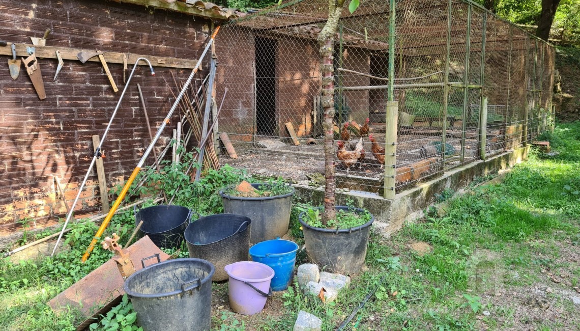 Chicken coop