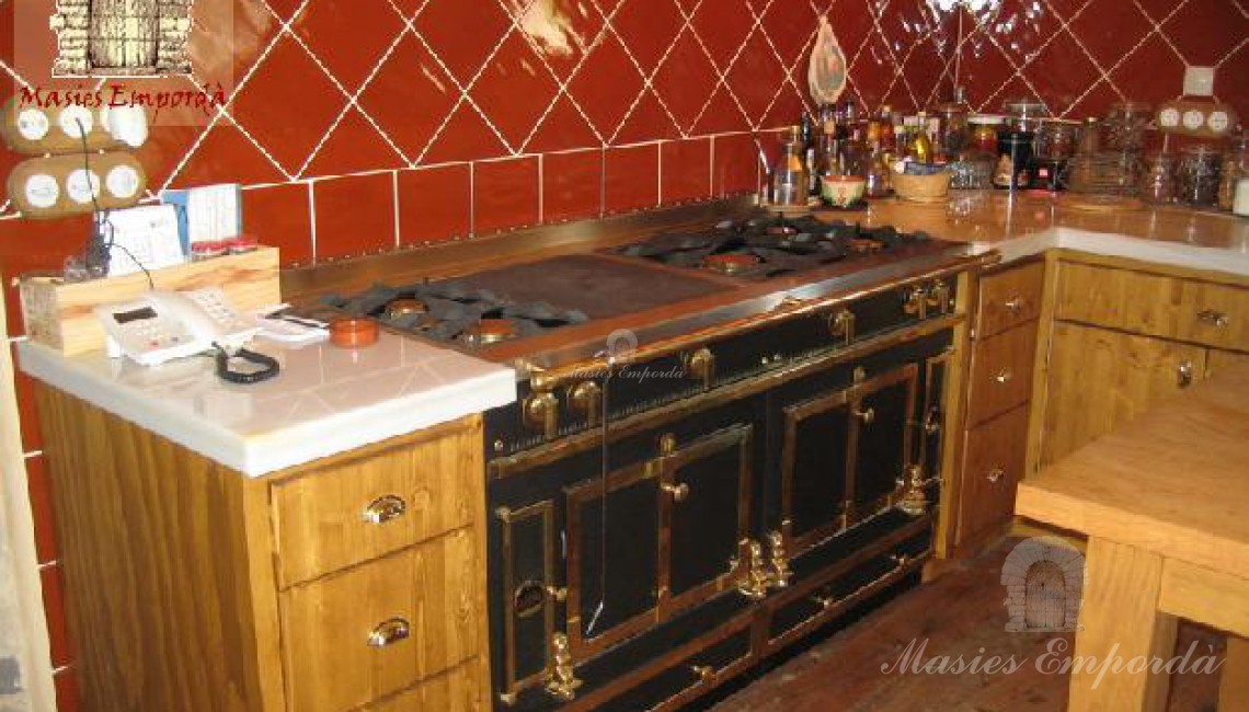 Detalle de la cocina de gas con varios fogones y plancha