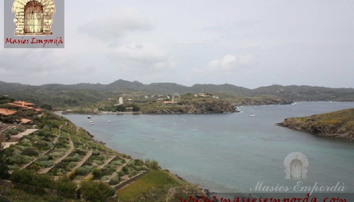 Vista desde la parcela 