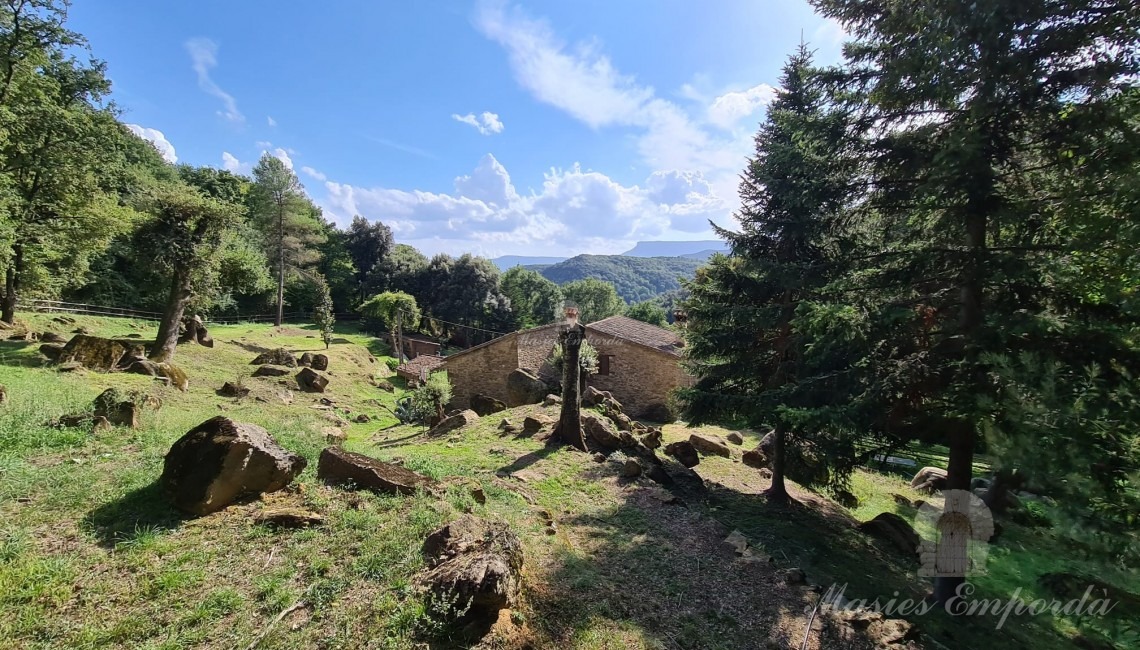 Views of the property