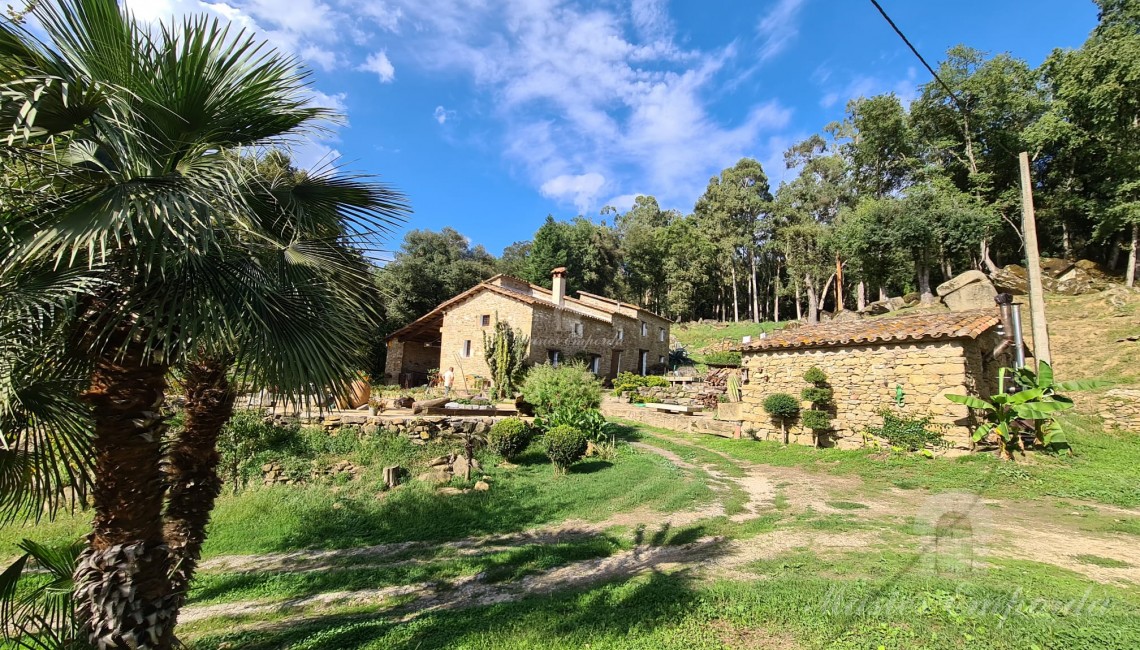 Views of the farmhouse 
