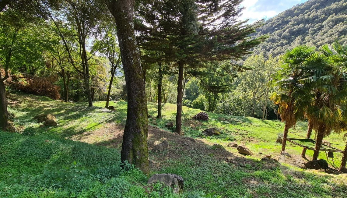 Views of the property
