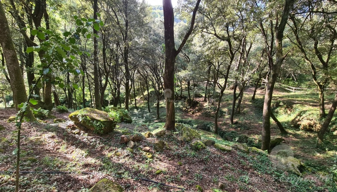 Views of the property