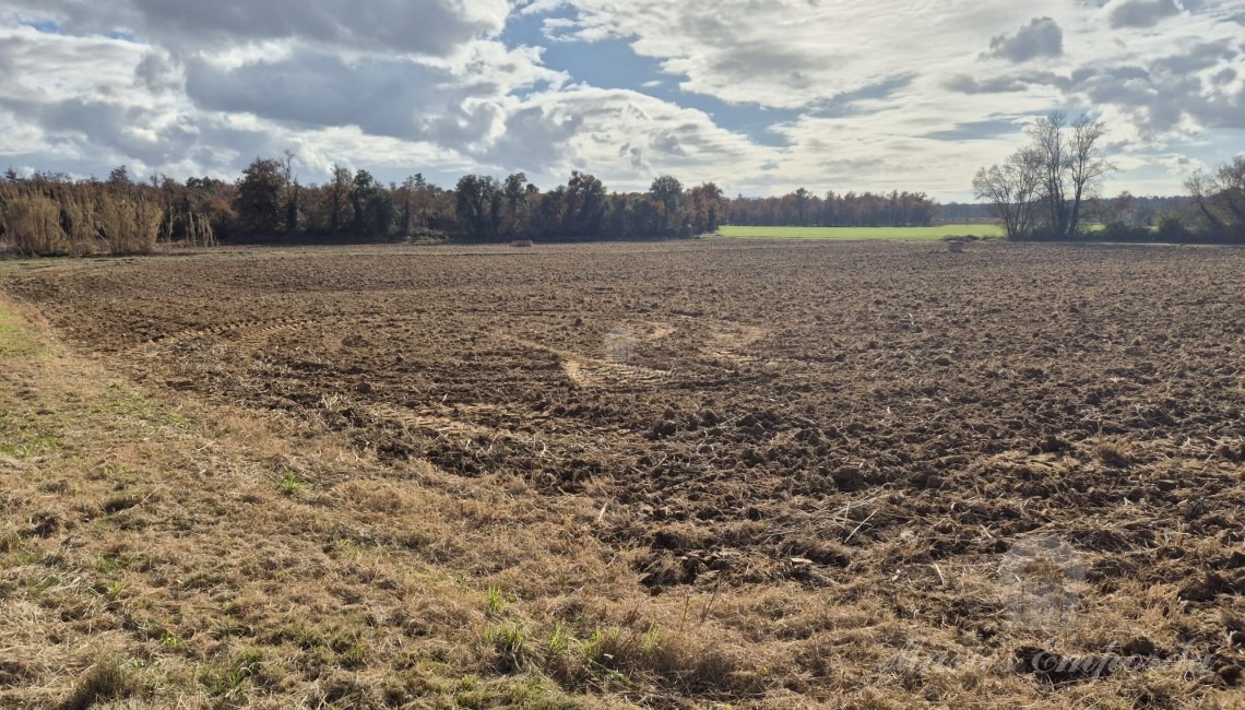 View of the fields