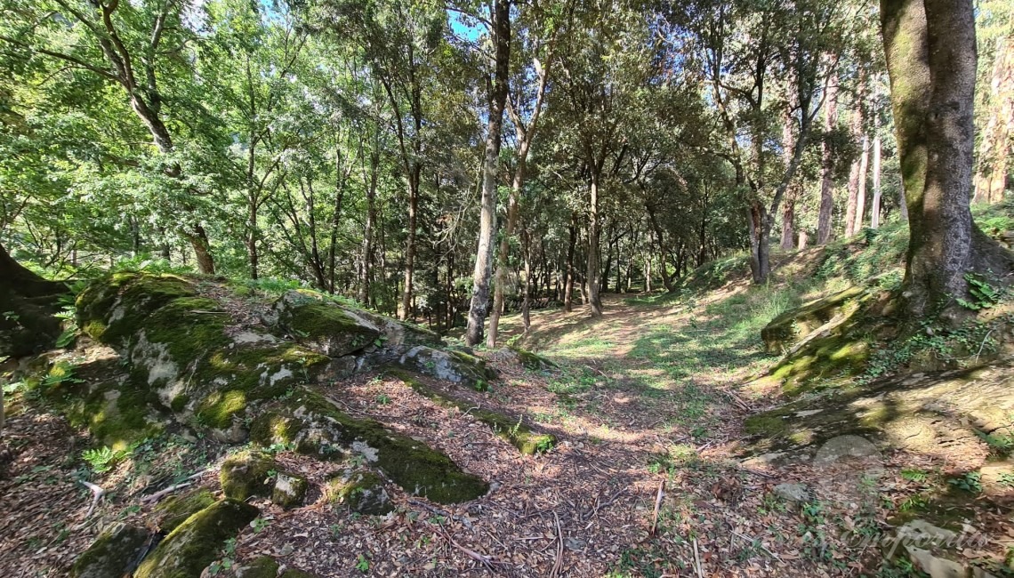 Views of the property