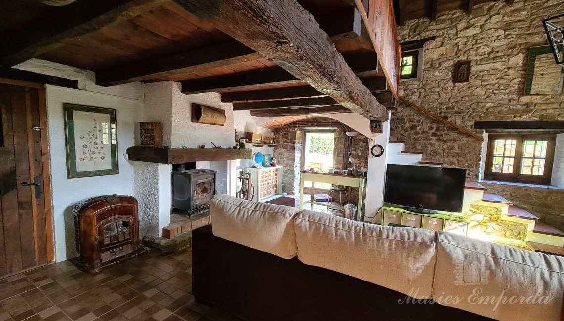 Living room with fireplace