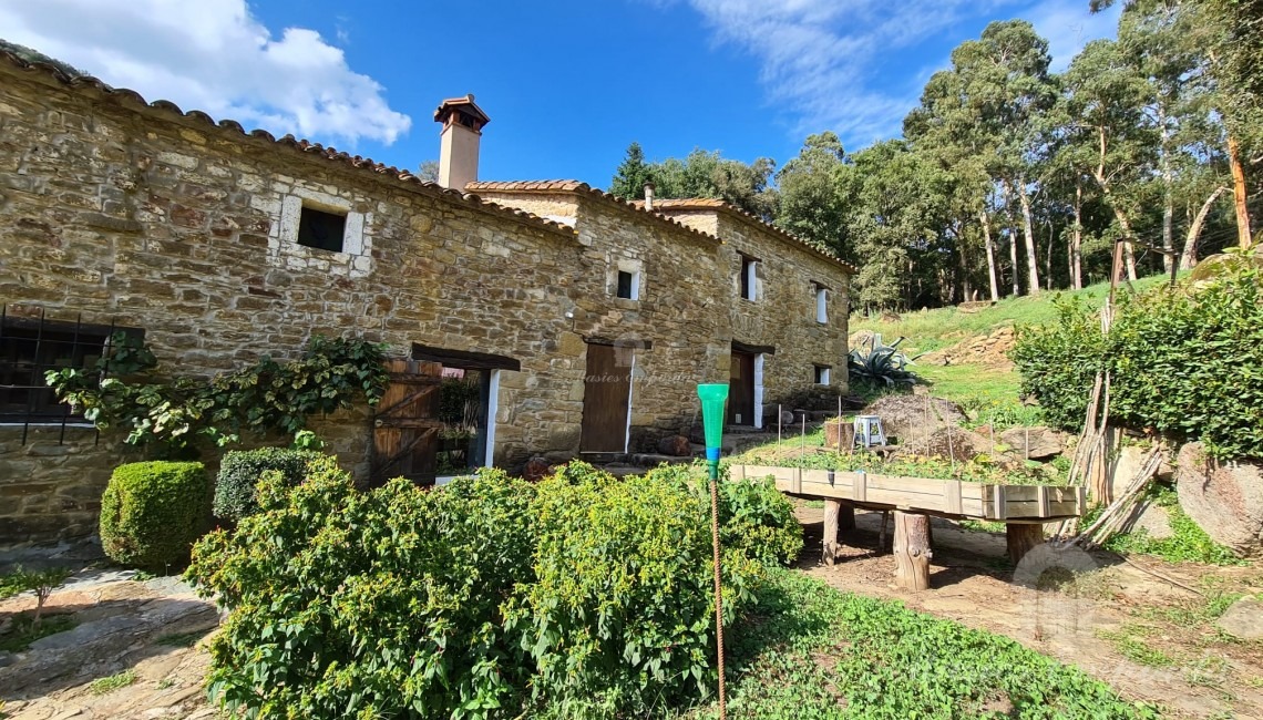 Views of the farmhouse 