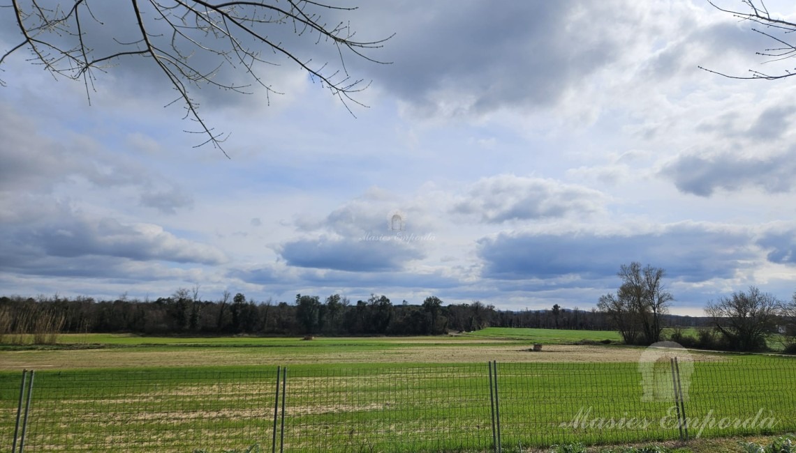 View of the fields