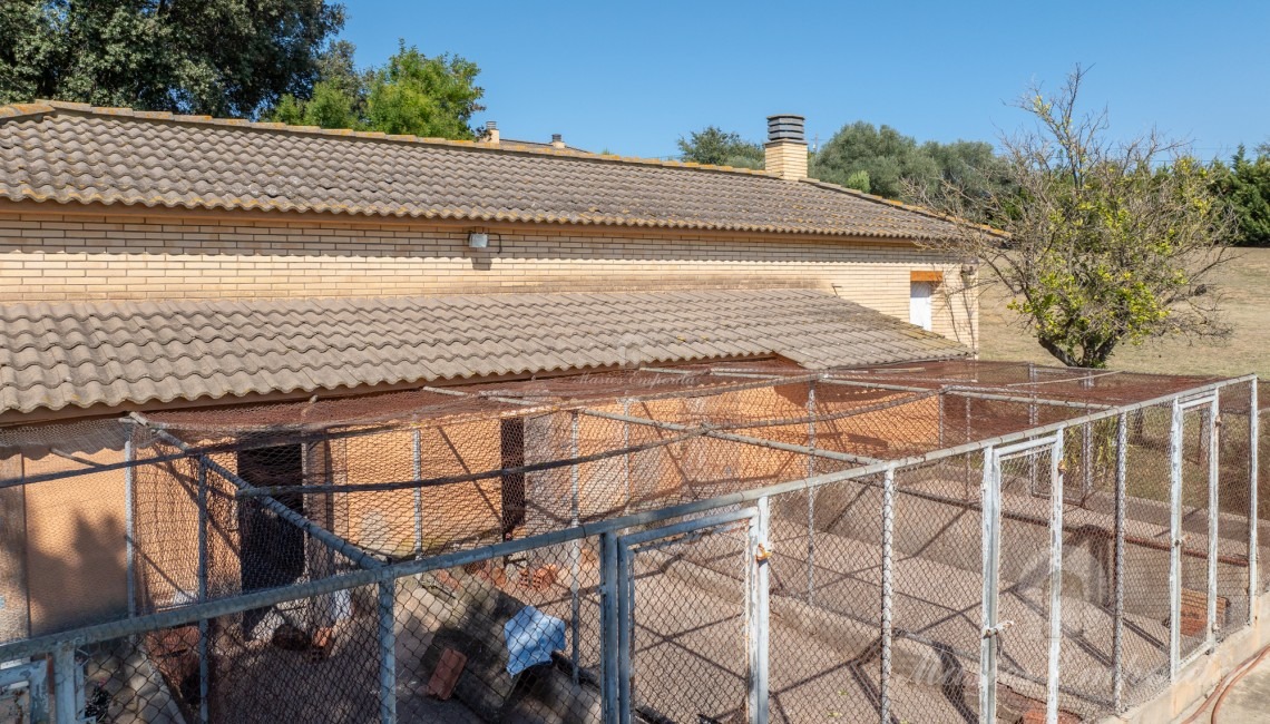 Annex, kennels and technical room
