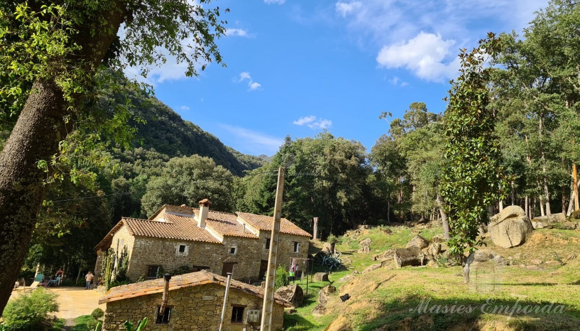 Views of the farmhouse 
