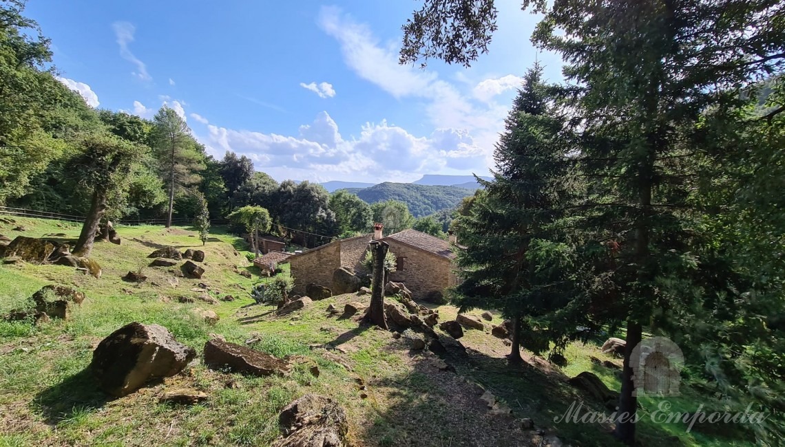 Views of the farmhouse 