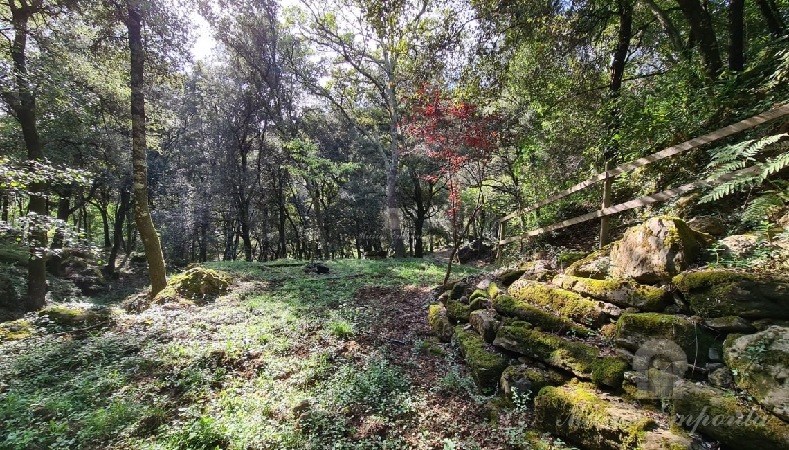 Views of the property