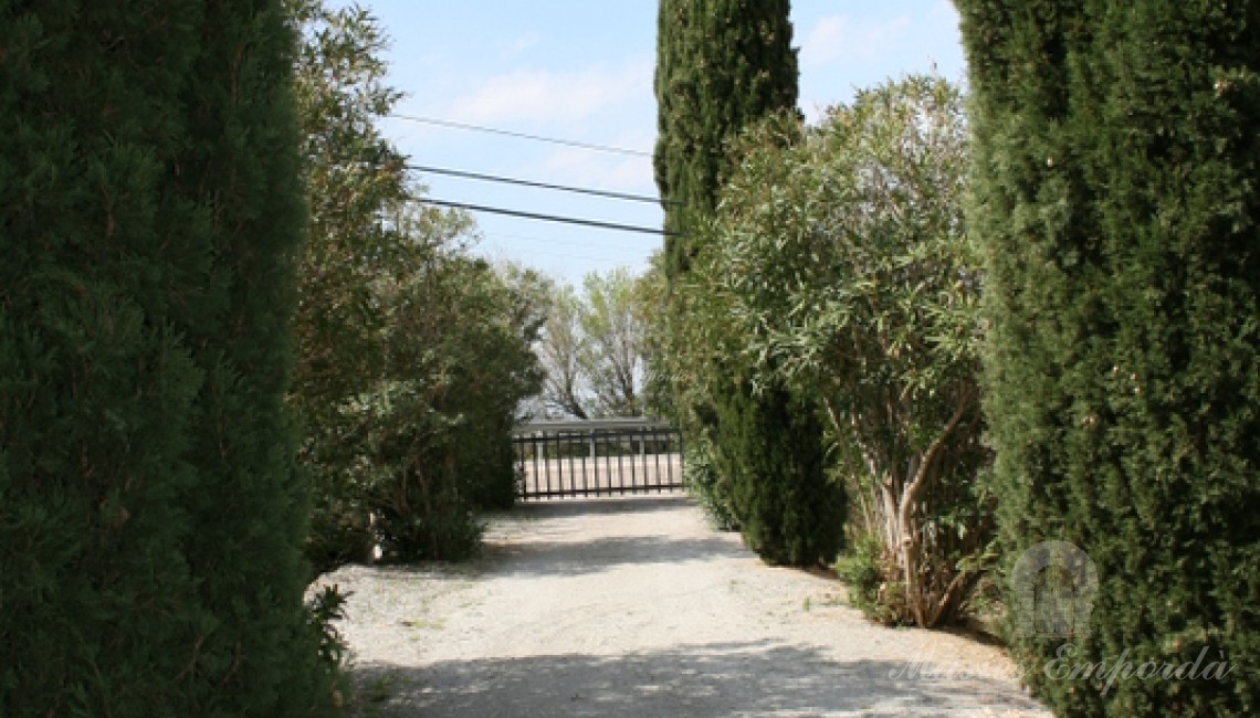 Detalle del camino de entrada a la casa presidido por cipreses en sus laterales