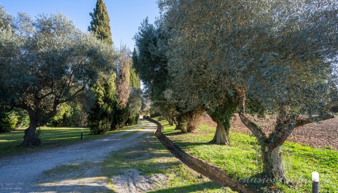 Acceso principal