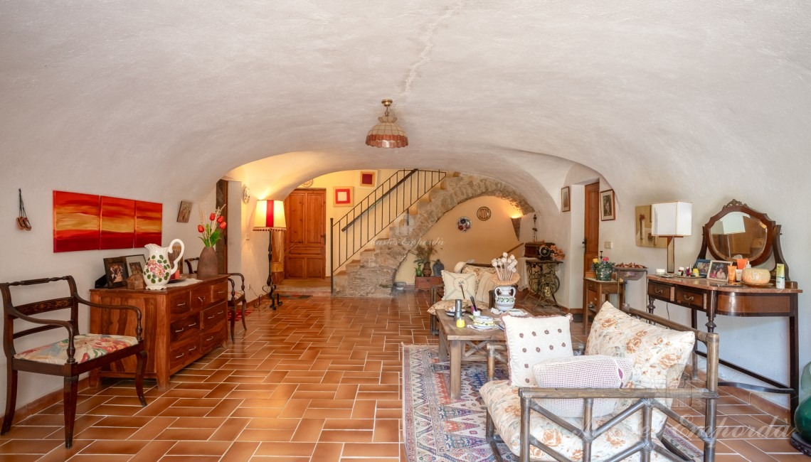Entrance hall of the house 