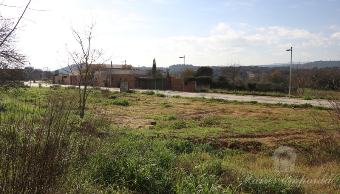 Views of the plots