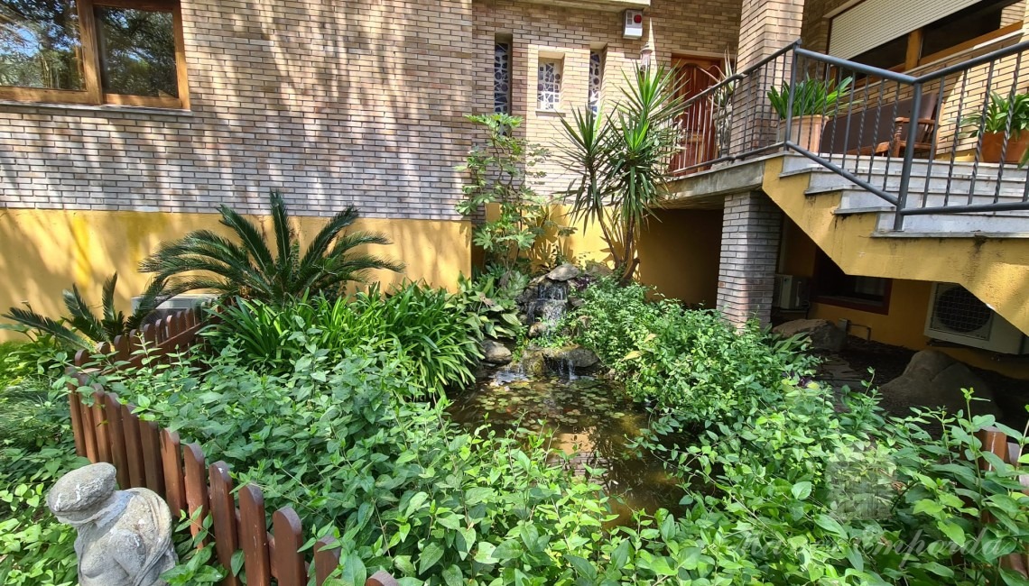 Pond at the entrance to the house