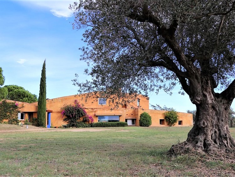 Vista de la fachada de la casa desde el jardín con un olivos centenario en primer plano