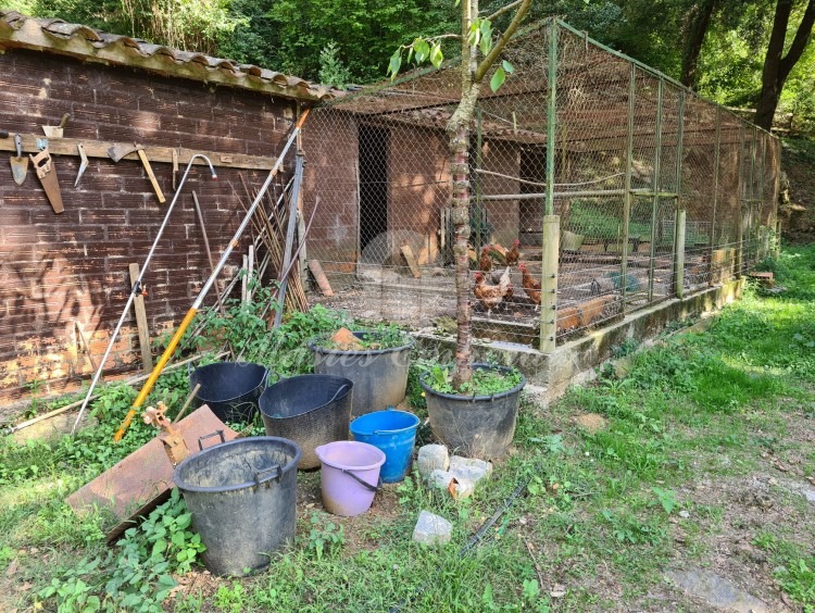 Chicken coop