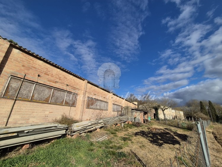 Stables