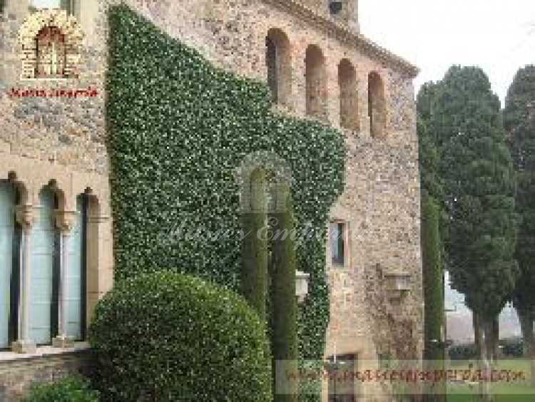 Detalle de los muros con la yedra recortada y fachadas de piedras del castillo con parte del jardín a la vista 
