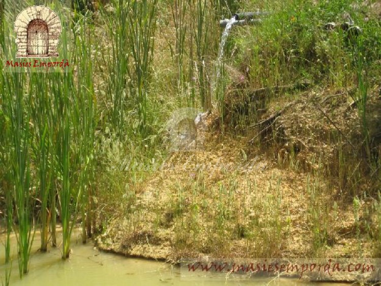 Caño de la fuente natural que suministra la gran balsa de esta gran propiedad den en Baix Empordà