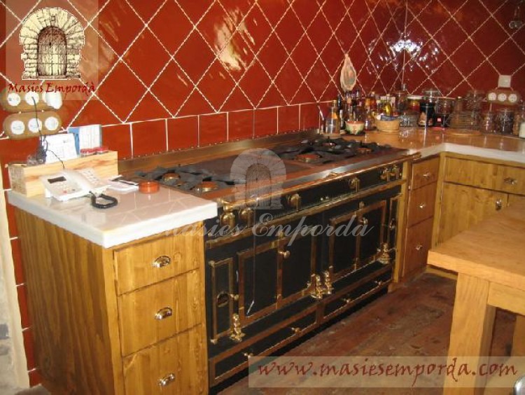Detalle de la cocina de gas con varios fogones y plancha