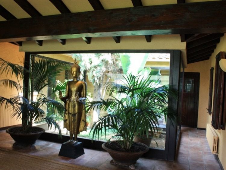 Vista frontal del hall de entrada con patio interior acristalado con plantas en su interior  