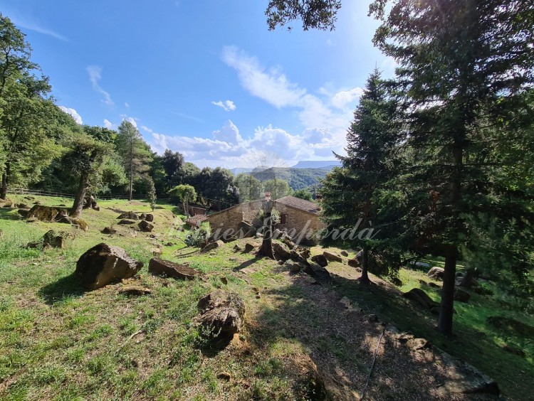 Views of the property