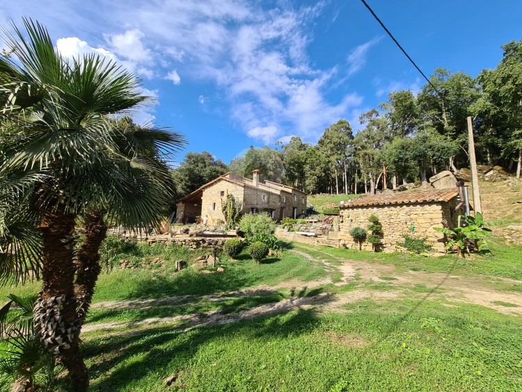 Views of the farmhouse 