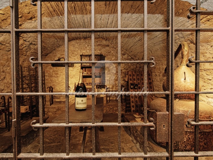 Cellar with spectacular wrought iron grille 