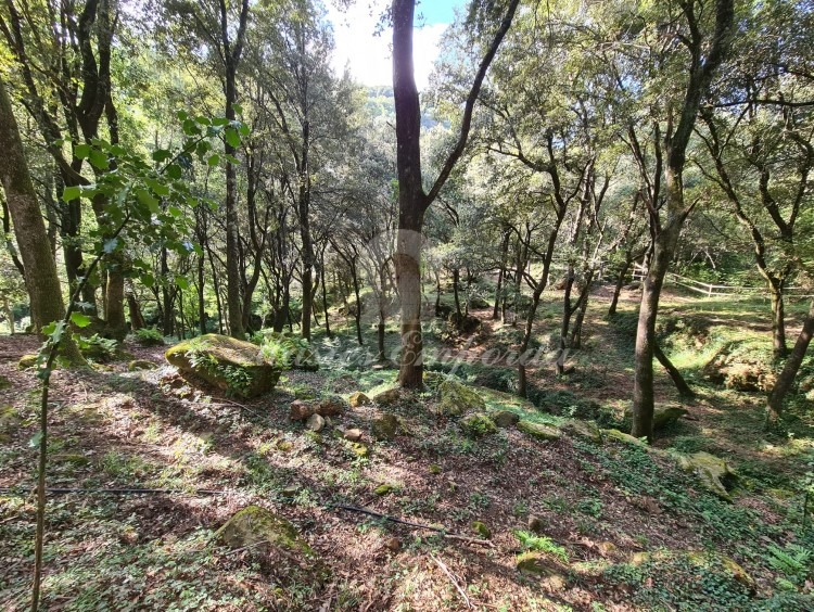 Views of the property