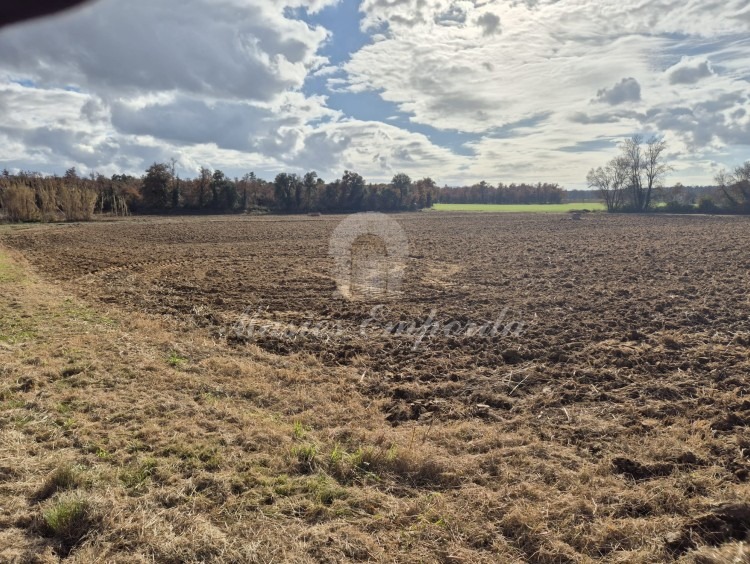 View of the fields