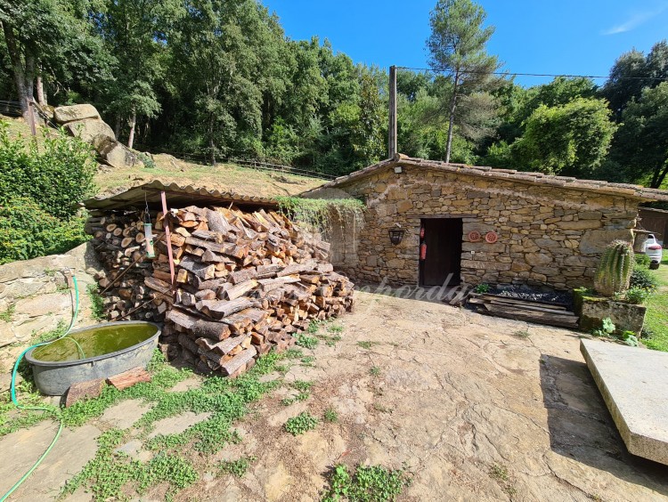Views of the annexe