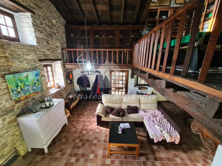 Living room with fireplace
