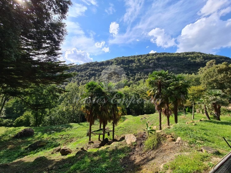 Views of the farmhouse 