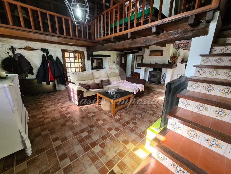 Living room with fireplace