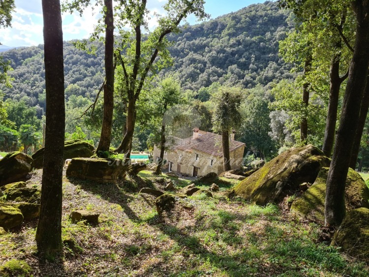 Views of the farmhouse 