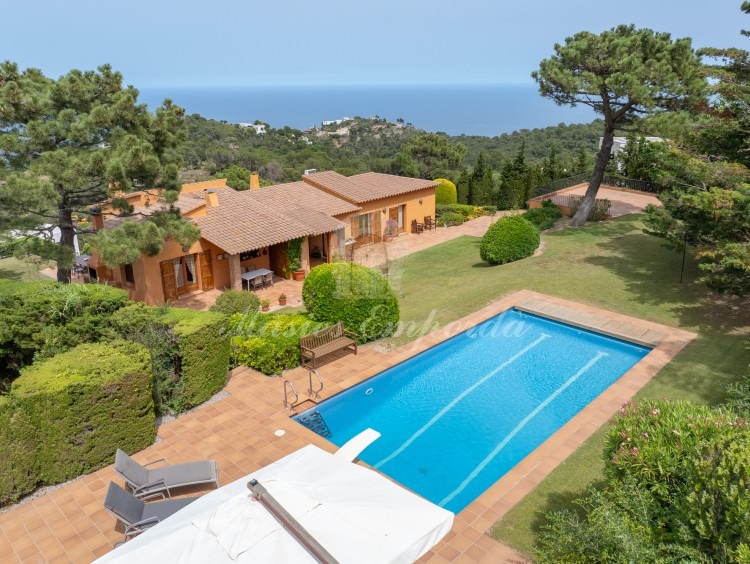 Views of the property and pool