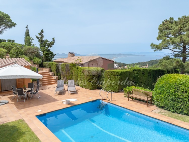Views of the property and pool