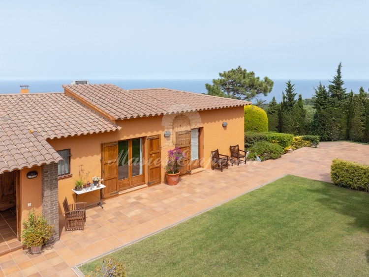 Views of the property