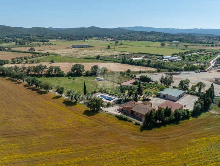 Overview of the house and plot
