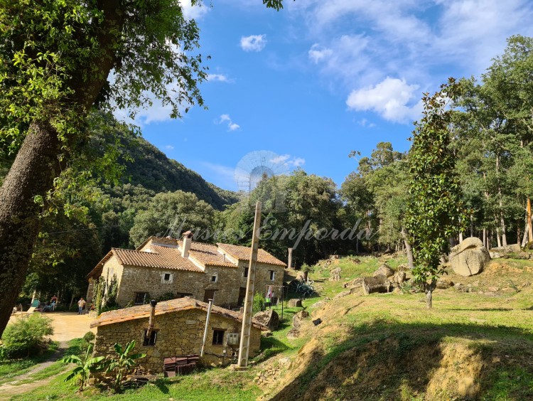 Views of the farmhouse 