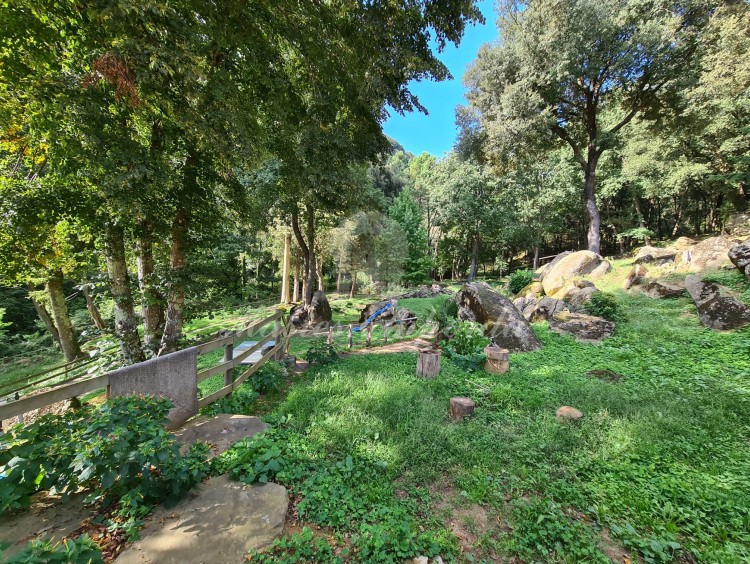 Views of the property