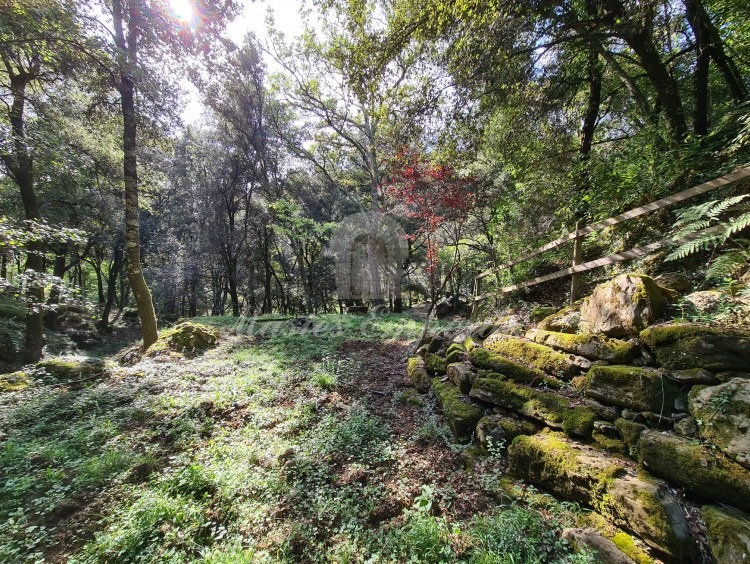 Views of the property