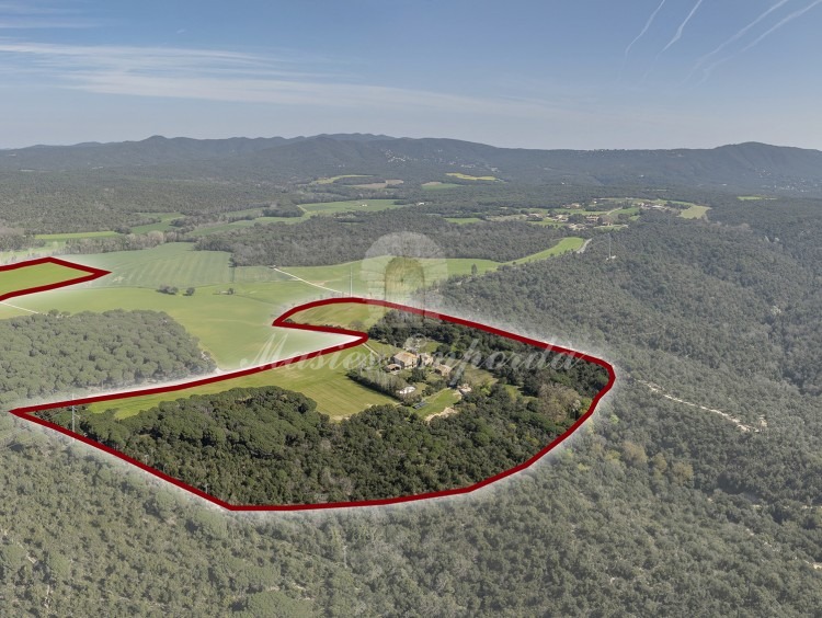 Bird’s-eye view of the property 