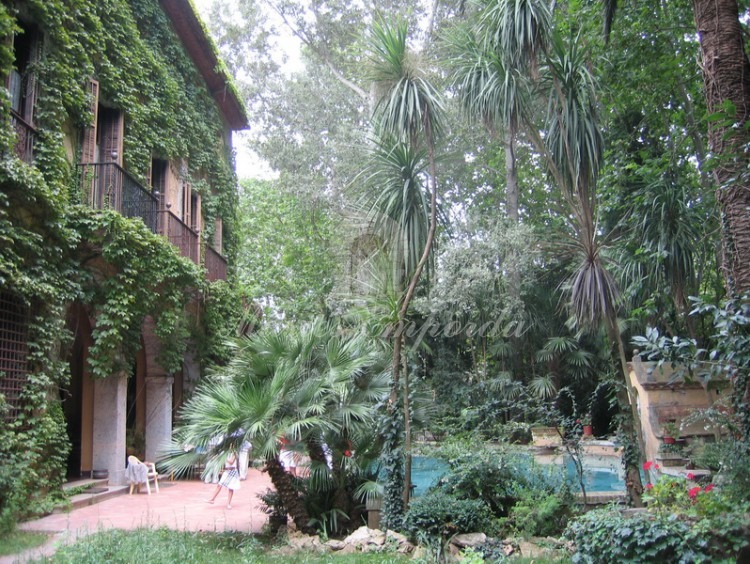 Detalle de la fachada principal de la casa completamente cubierta de yedra trepadora con la piscina en un lateral de la imagen 