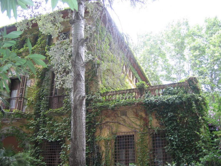Detalle de parte de la fachada y de la terraza 