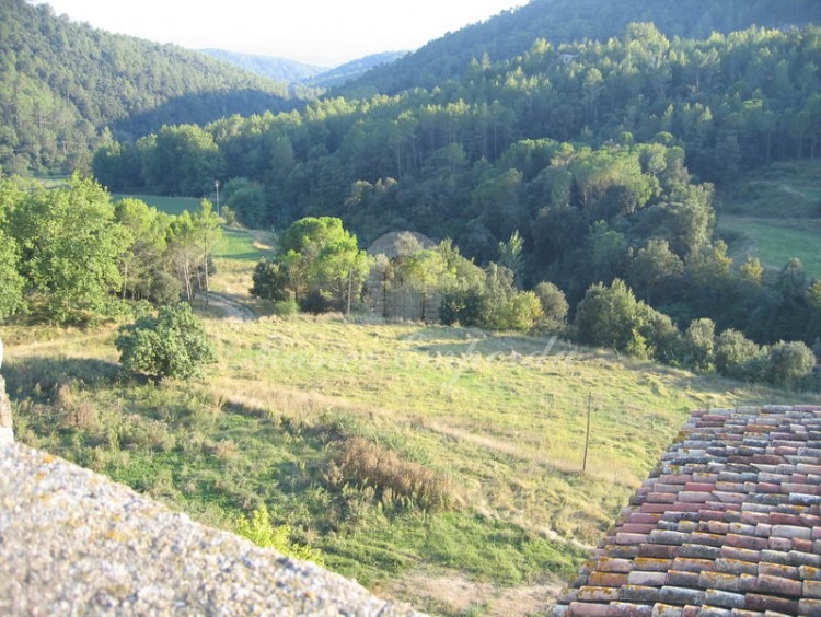 Vistas de los campos y bosques de la propiedad desde la torre del castillo 